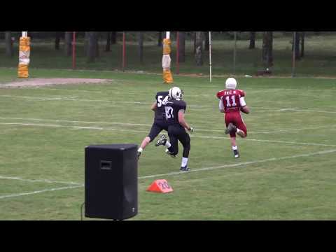 SAAF 2015: Pančevo Panthers - Indjija Indians 7:26