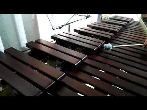 Inni di lode N°451: Di Gesù l'amica voce Marimba Cover