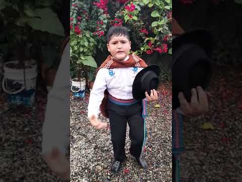 Fernando Vargas Vega tema:ME DUELE MI PAÍS