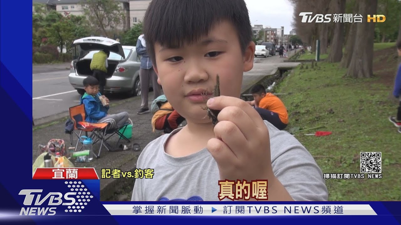 水溝變景點!滿滿小龍蝦免費釣 吸民眾挑戰