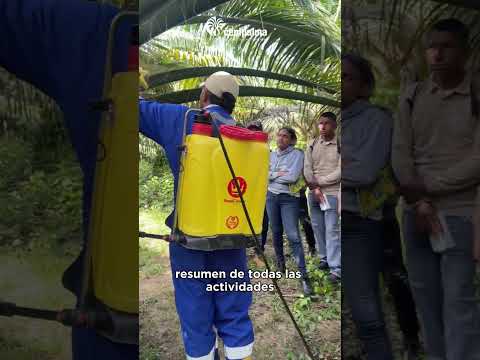 Curso de Polinización desarrollado junto al SENA en el municipio de Algarrobo,