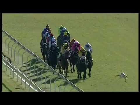 2018.05.05 S A Oaks (RSA) - Secret Potion