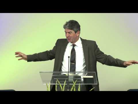 Pasti na stenu - Radovan Marjanov