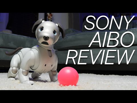 image-Is Sony Aibo still available?