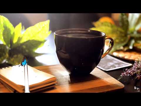 Slow Jazz: Jazz and Bossa Nova to relax, work, study, eat - Jazz music for good mood