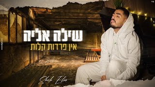 אין פרדות קלות