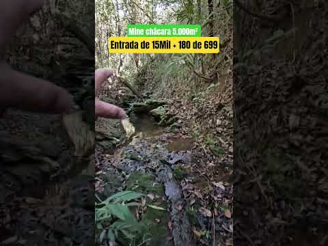 🌿🏡 MINI CHÁCARAS DE 5.000m² EM ALEXÂNIA-GO! 🏡🌿