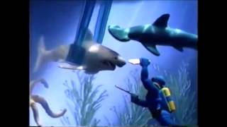 Wonder World Aquarium Kits Commercial 90's