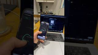 datanet.art: real-time data streaming between hardware, software and creative tools