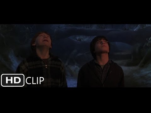 跟隨蜘蛛（下） | 哈利-波特與密室 (Follow The Spiders (Part 2) | Harry Potter and the Chamber of Secrets)