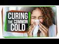 Will There Ever be a Cure for the Common Cold?