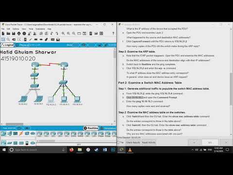 9.2.9 Packet Tracer - Examine the ARP Table
