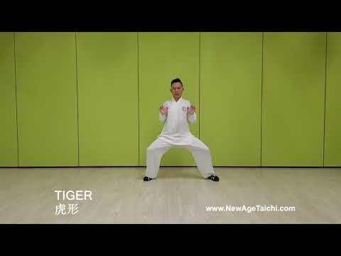 Wudang Five Animals Qi Gong 武当五行气功