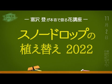 スノードロップの木 植物