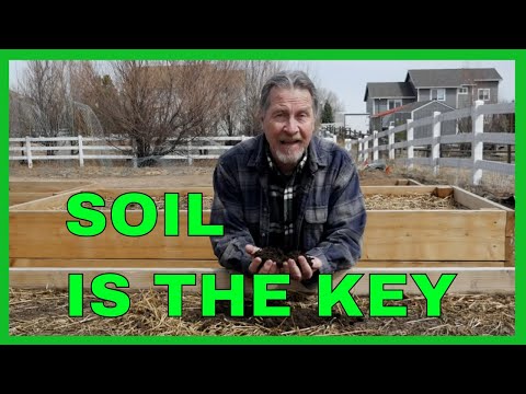 Understanding Soil (The Key to Success)