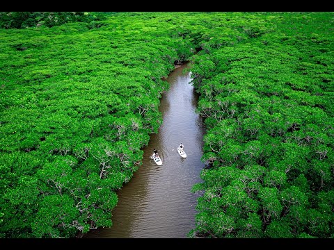 動画4