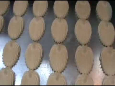 Rusk Biscuits Oven and Cookies Drops Machine