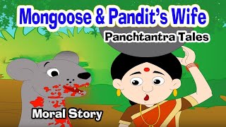 Loyal Mongoose - Moral Stories | Story in English | Panchatantra Stories | Kids Story | Cartoon