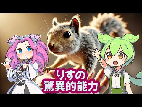 アメリカハイイロリス