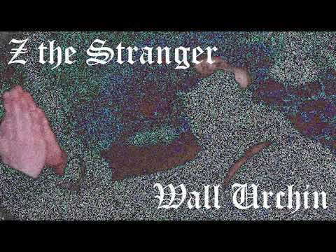 Video thumbnail for Wall Urchin