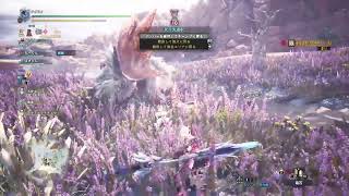 #1☆(PS4) MHW IB  初見さん歓迎☆