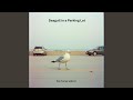 Seagull In A Parking Lot With LK
