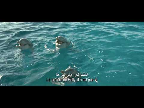 Bernie The Dolphin - Official Trailer