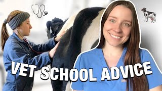 VET SCHOOL ADVICE FOR HIGH SCHOOL STUDENTS!