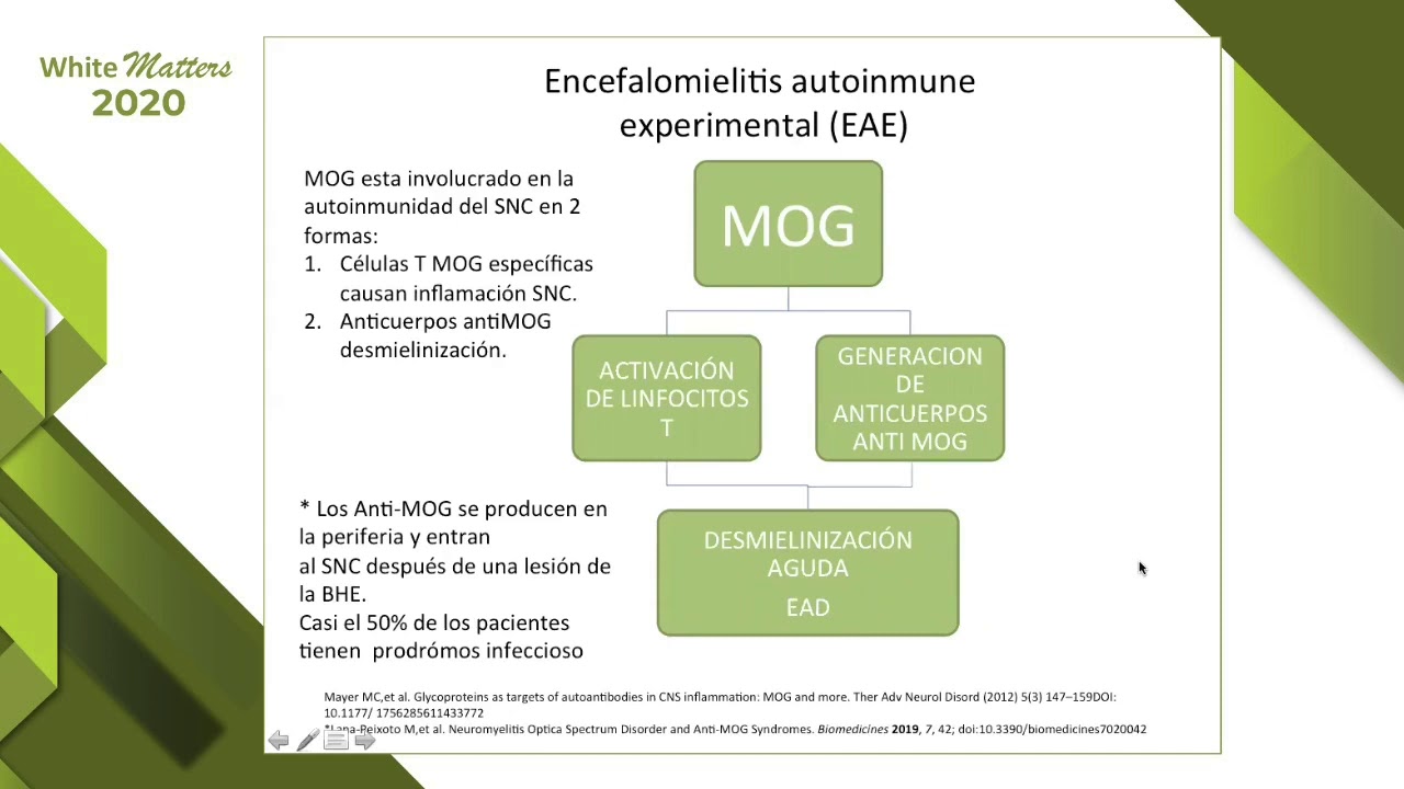 Emmanuel Rodriguez Chavez-3