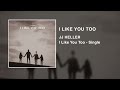 I Like You Too