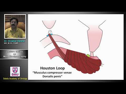Lecture 4 On Male Urethrography