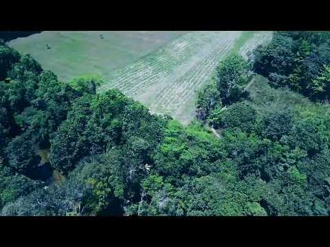 LOT 15 Curtis Rd, Carruchan, QLD 4816, 3 ਕਮਰੇ, 1 ਬਾਥਰੂਮ, House