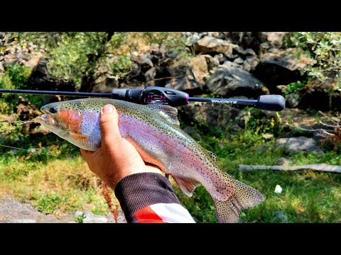 Favorite Arena ARN1-5102UL-T 1.78m 1-4.5g Fast