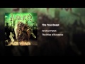 All Shall Perish - The True Beast 