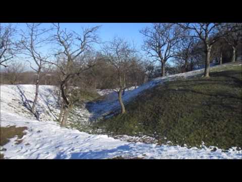 Die Stapelburg  -  eine Ruine erzählt