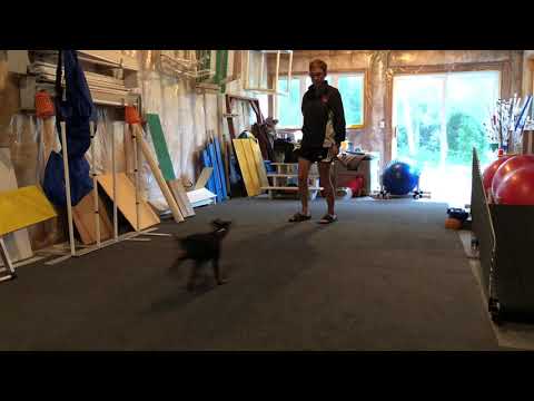 Next Step With Here In Lowest Distraction