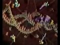 ДНК и РНК в биосинтезе белка 