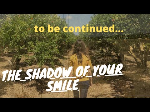 The Shadow of your smile | saxophone solo by Lenny Sendersky