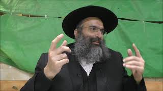 אהבה וחינוך. התוועדות עם הרב יהודה ליב נחמנסון [א' כסלו תשפ"א]