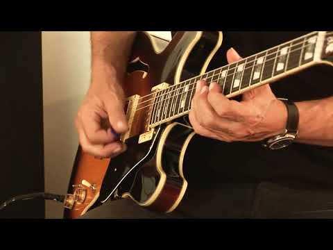 Immagine Ibanez JSM10 VYS John Scofield Signature Chitarra semiacustica vintage yellow sunburst ... - 9