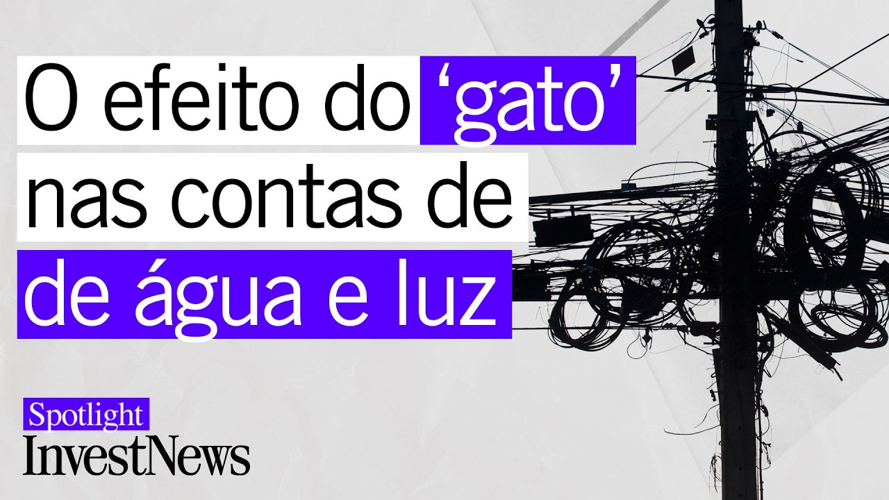 Quem PAGA a Conta do Gato?