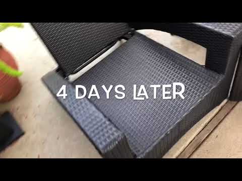 Victor Electronic Rat Trap - It Works!