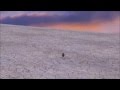 BOUNCING BALL