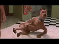 Scooby Doo Scooby Farts In Slow Motion