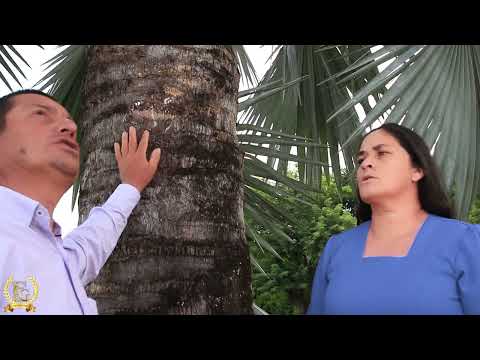 CELEBRANDO LA VIDA Dúo Esposos Giraldo (Video Oficial)