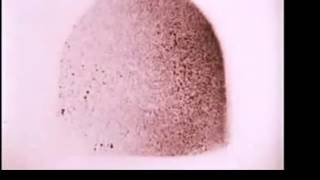 Monster Magnet ~ &quot;King Of Mars&quot;