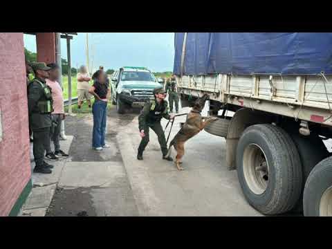 LA LEONESA CHACO : GENDARMERIA NACIONAL INTERCEPTA 2700 KILOS DE DROGA EN PARAJE LAPACHITO ,
