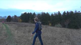 Mitchell Tousley - Misty