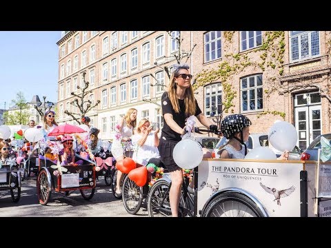 Pandora - Customer Success Story