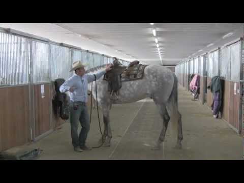 Putting on a western saddle with ease